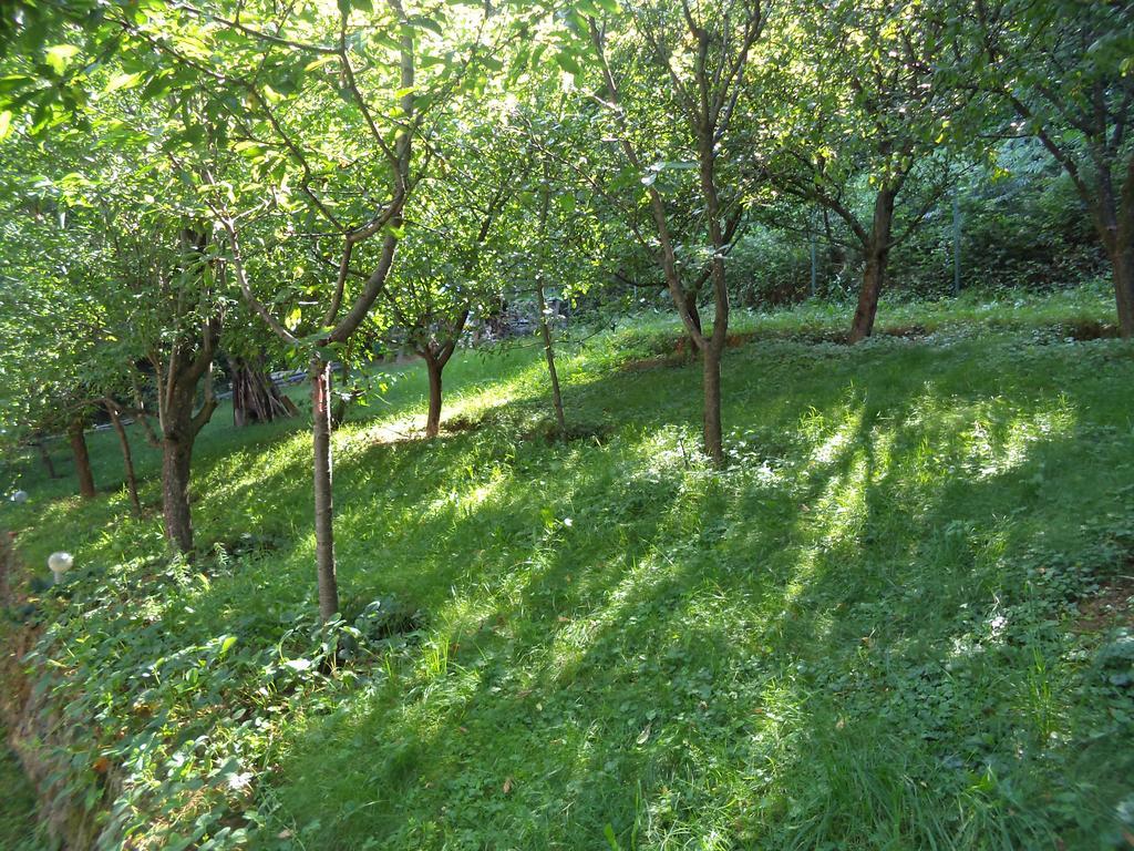 Villa Aqua Pravets Eksteriør billede