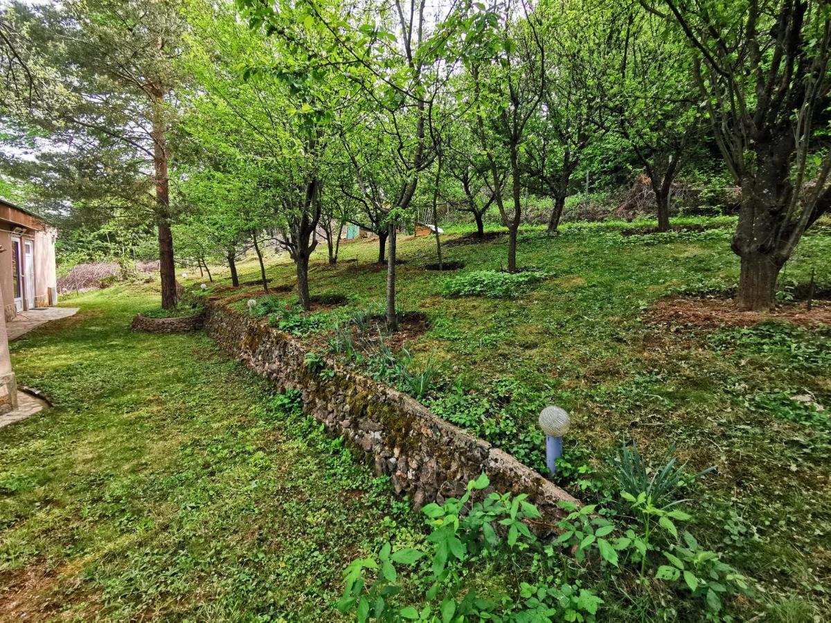 Villa Aqua Pravets Eksteriør billede